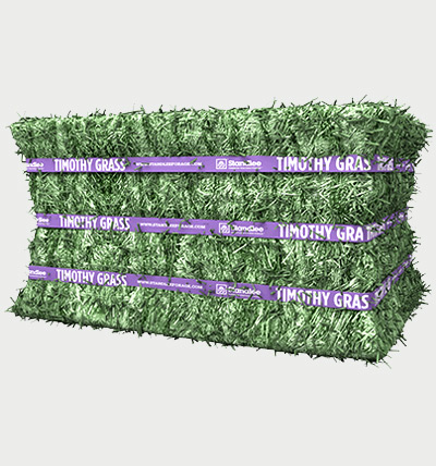 Timothy Grass Compressed Bale